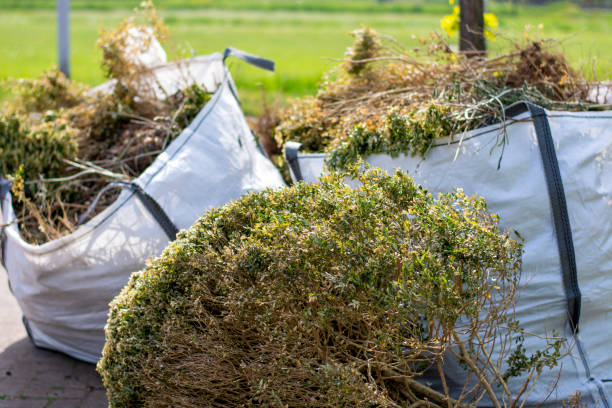 Best Shed Removal  in Eldorado At Santa Fe, NM